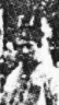 Img: Sparreboom, Adrianus
