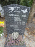 Grafsteen - Cornelis Dorsman--12-09-1927--24-03-2014--Bron-Online Begraafplaatsen-Gevonden-26-11-2020