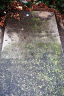 Grafsteen - Abraham Sparreboom--08-05-1906--Bron - OB