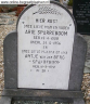 Grafsteen - Arie Sparreboom--15-04-1908--Bron - OB
